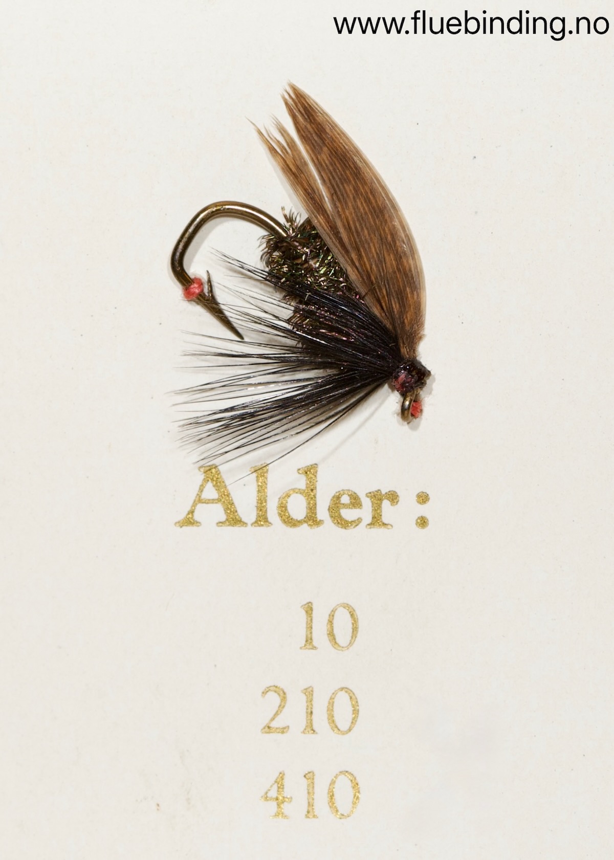 Alder