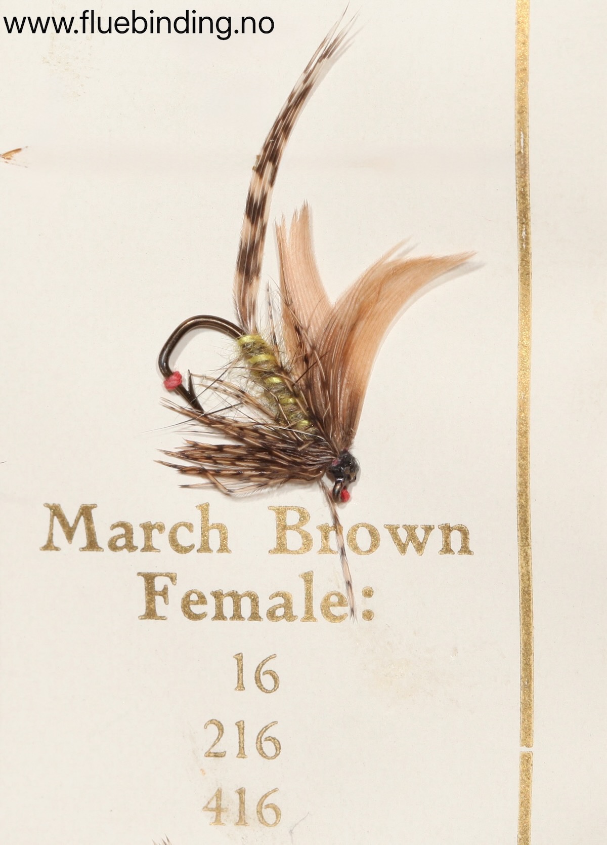 March Brown Female