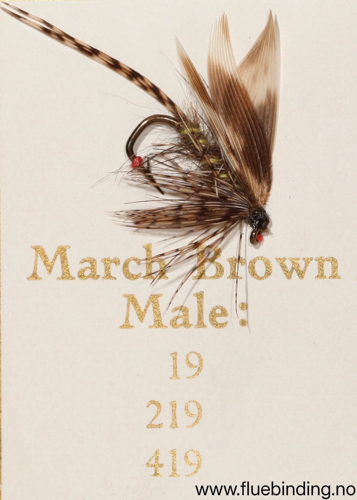 March Brown Male