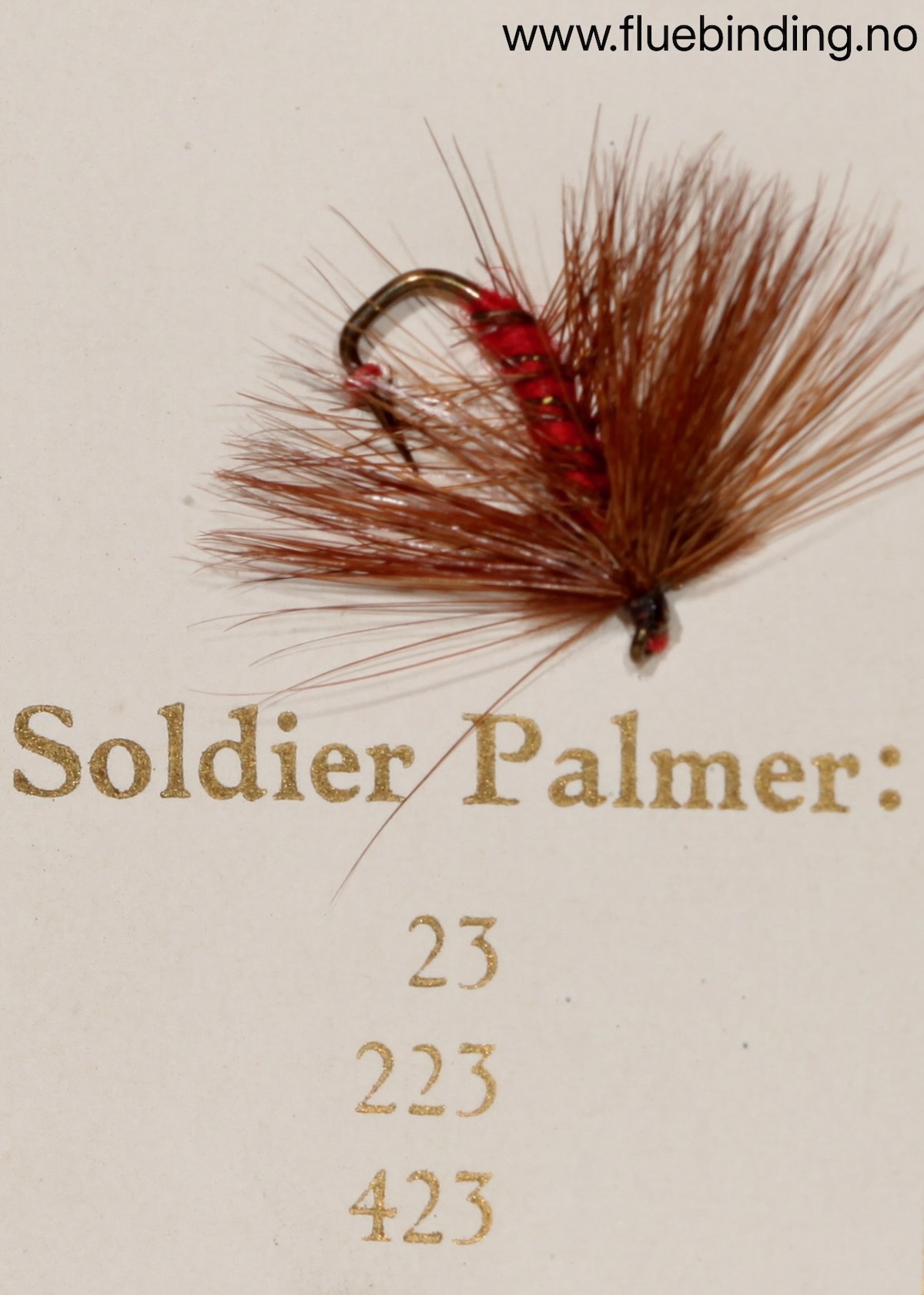 Soldier Palmer