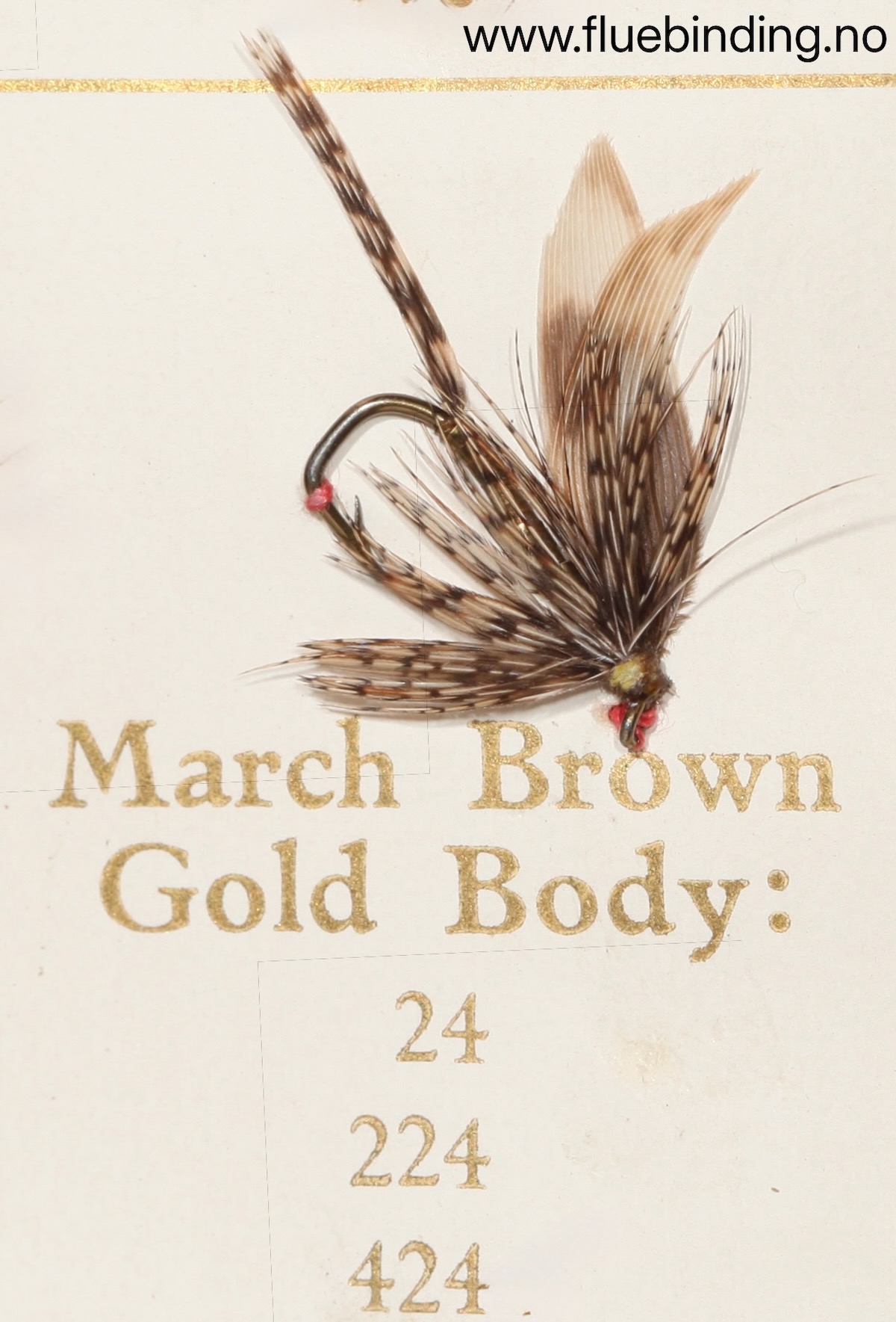 March Brown Gold Body