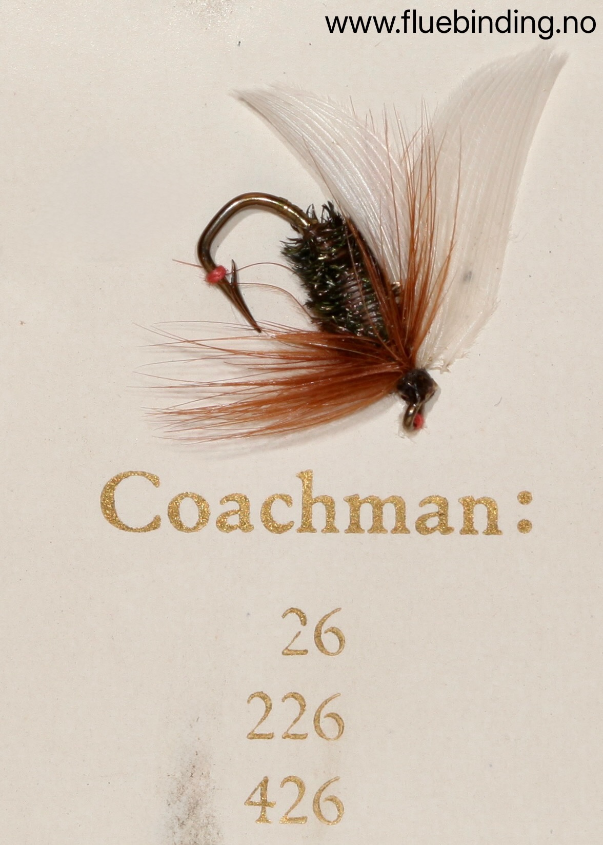 Coachman