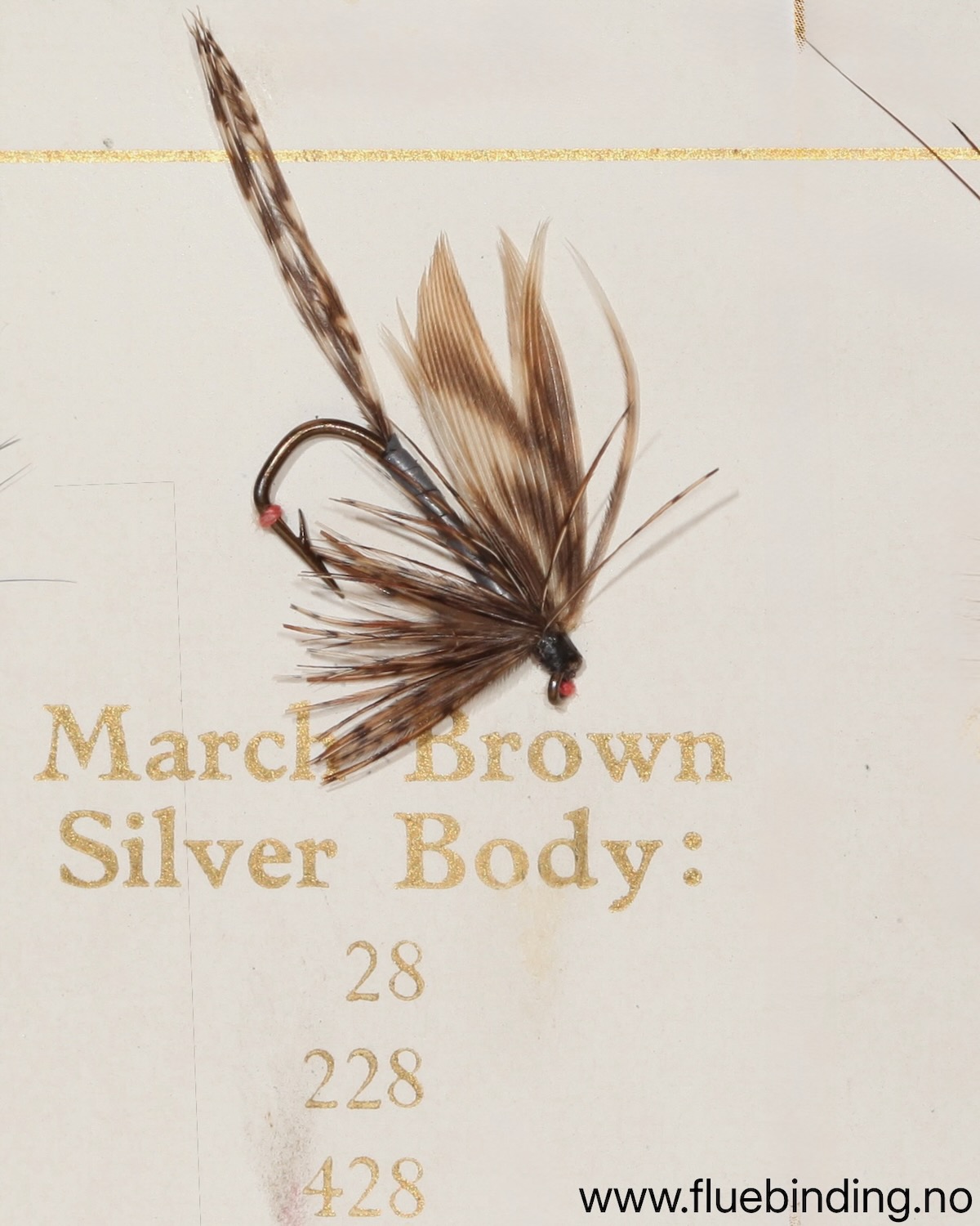 March Brown Silver Body