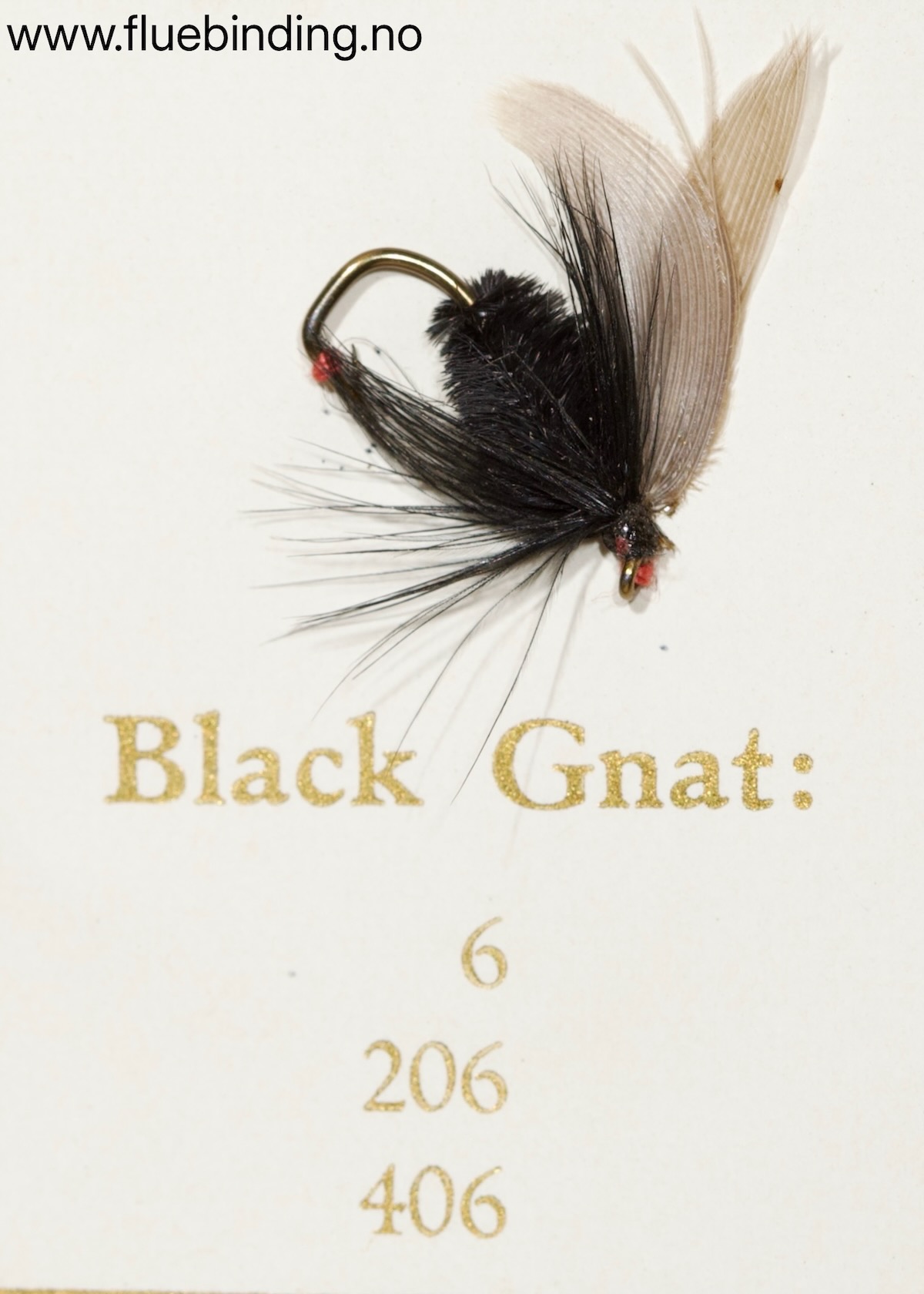 Black Gnat