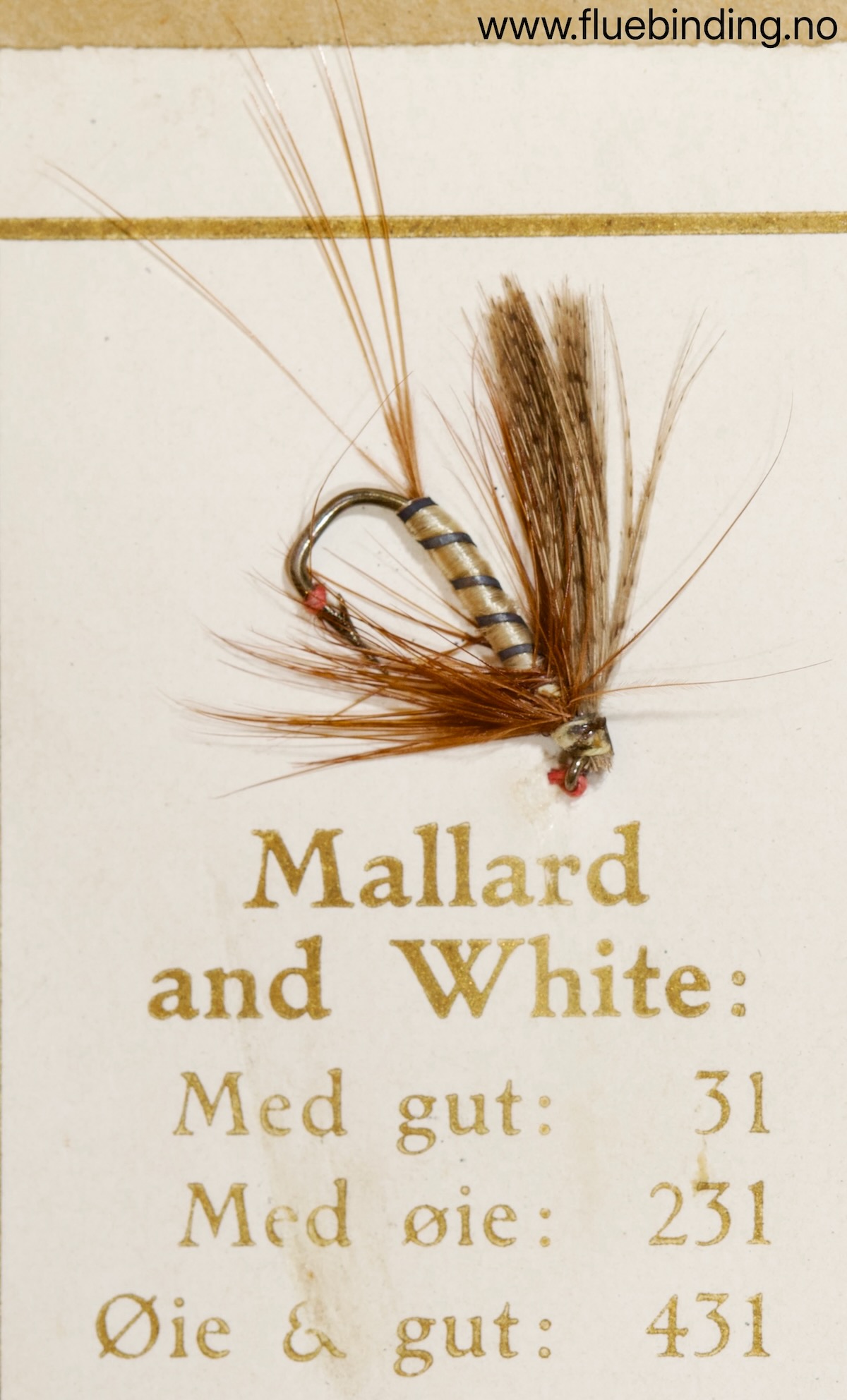 Mallard and White