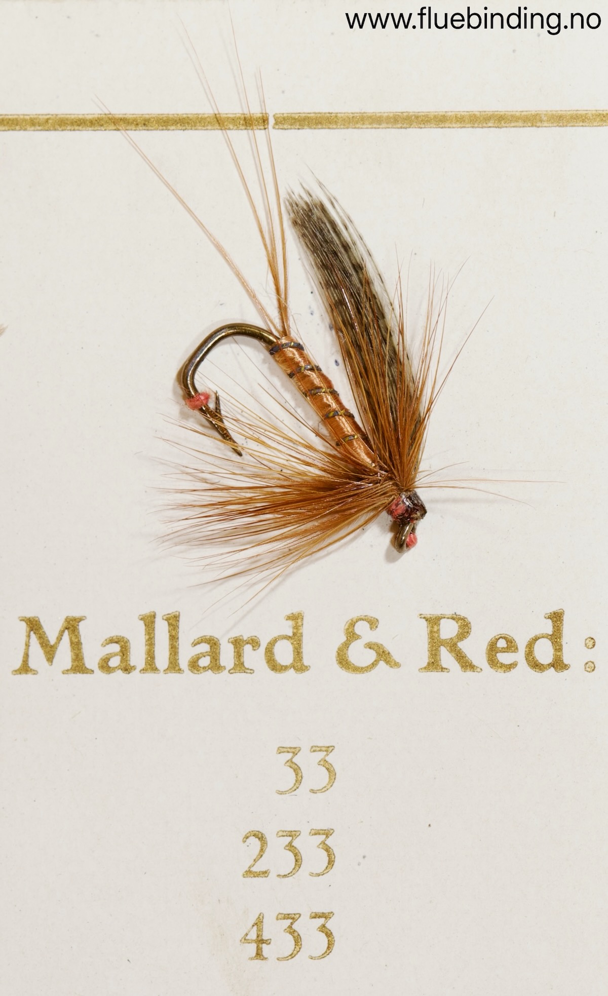 Mallard & Red