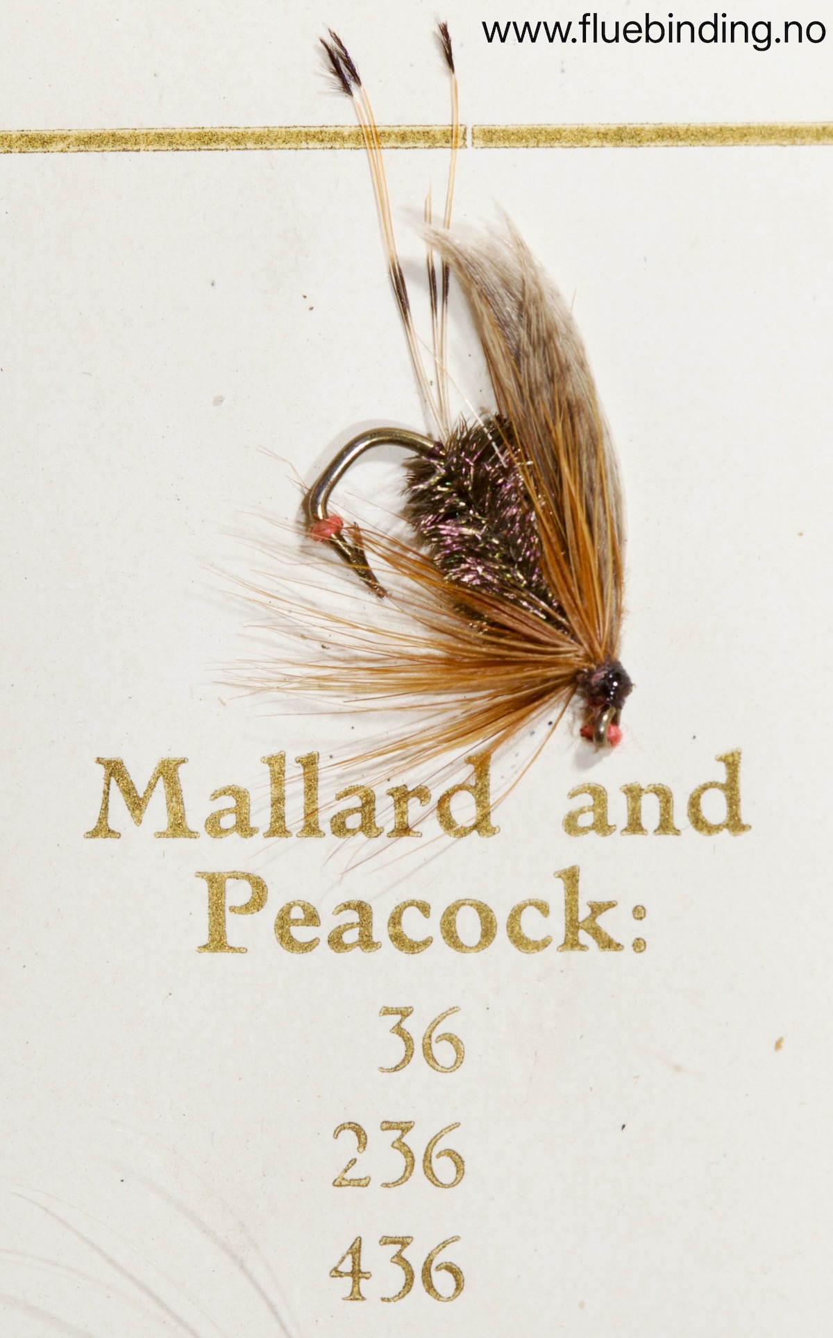 Mallard and Peacock