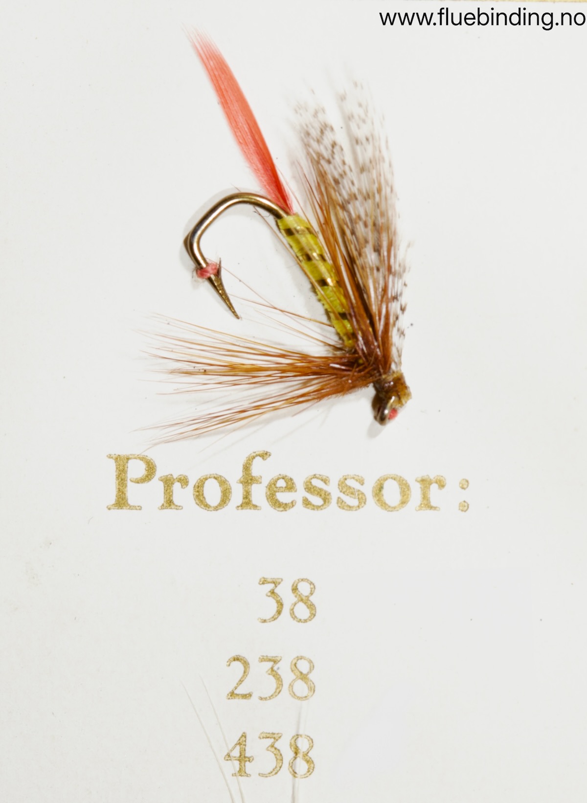 Professor