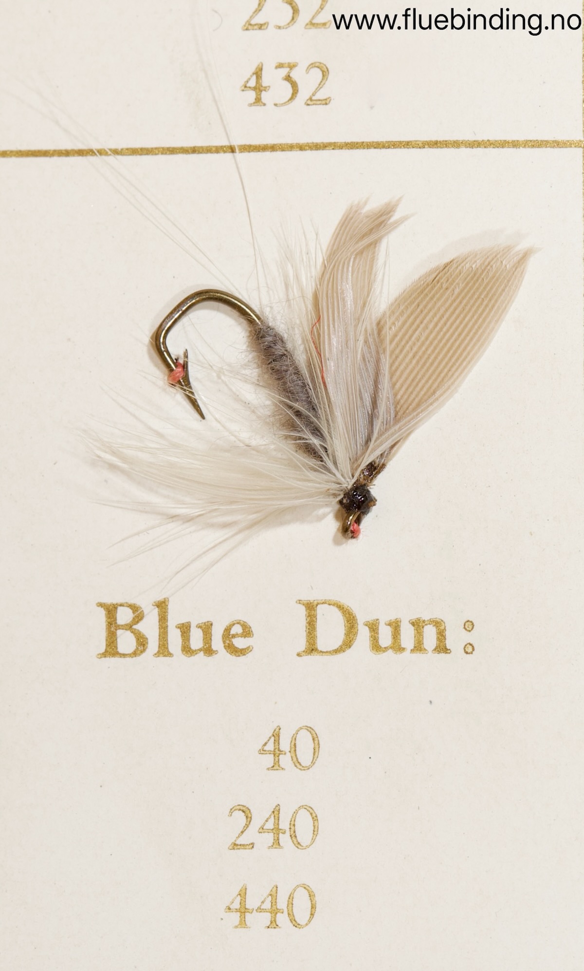 Blue Dun