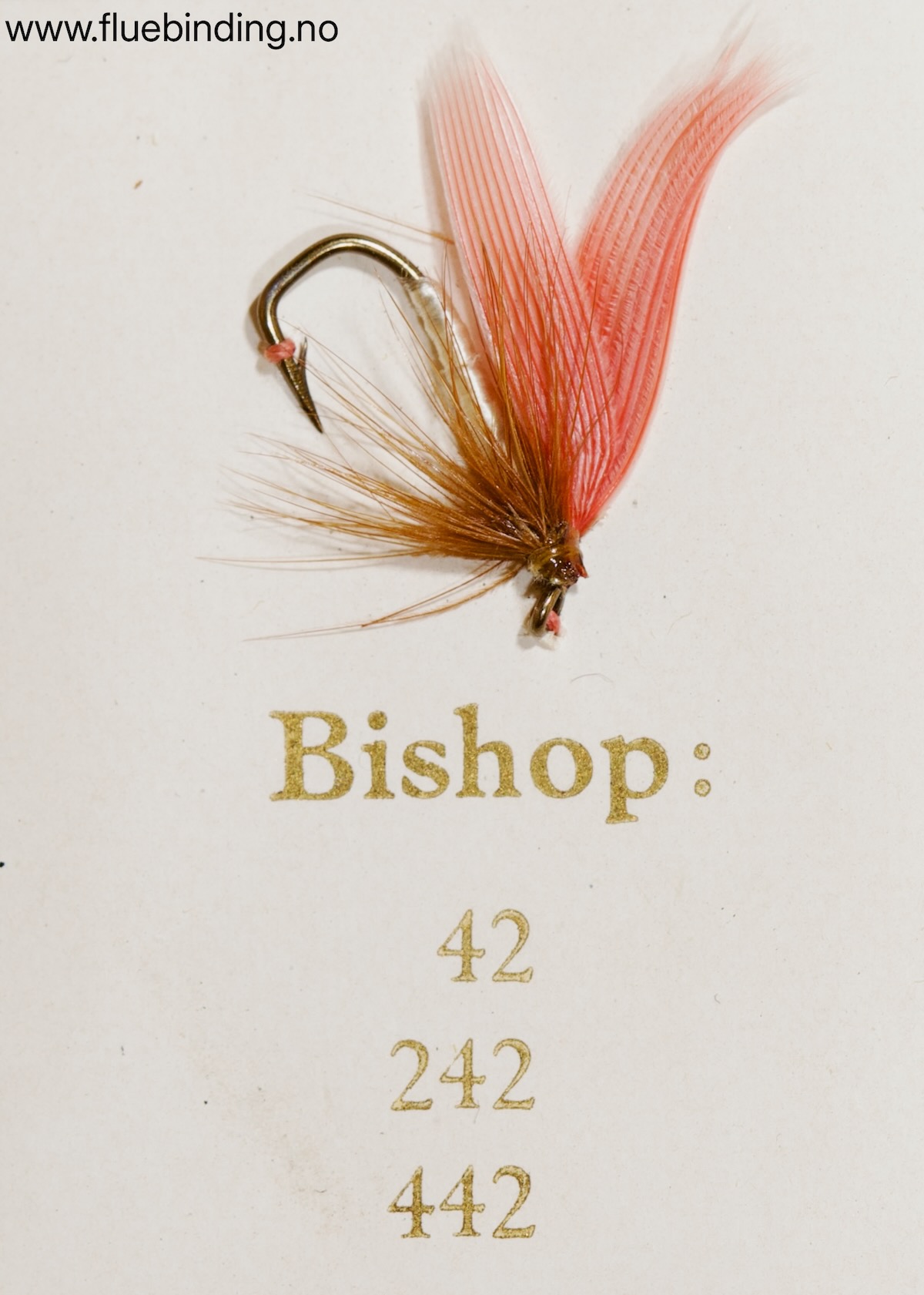 Bishop