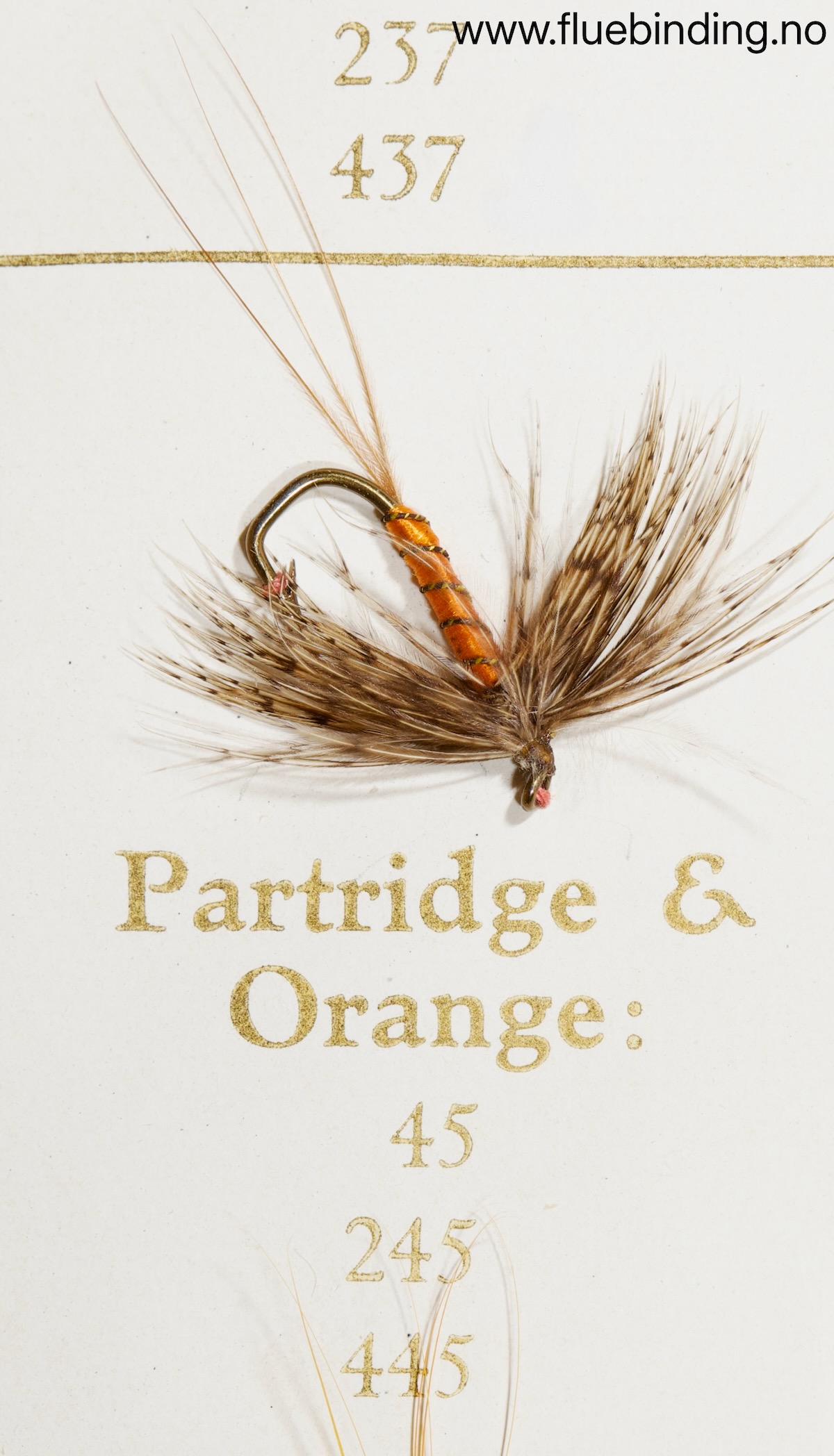 Partridge & Orange