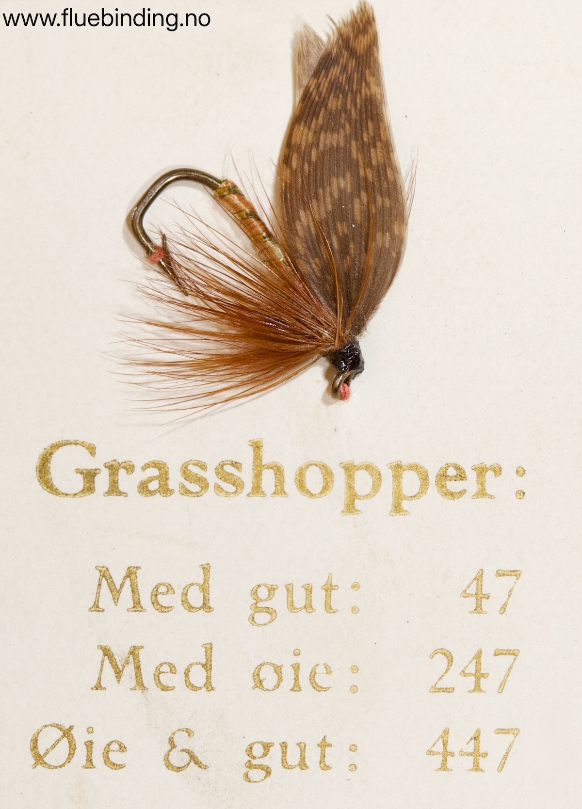 Grasshopper