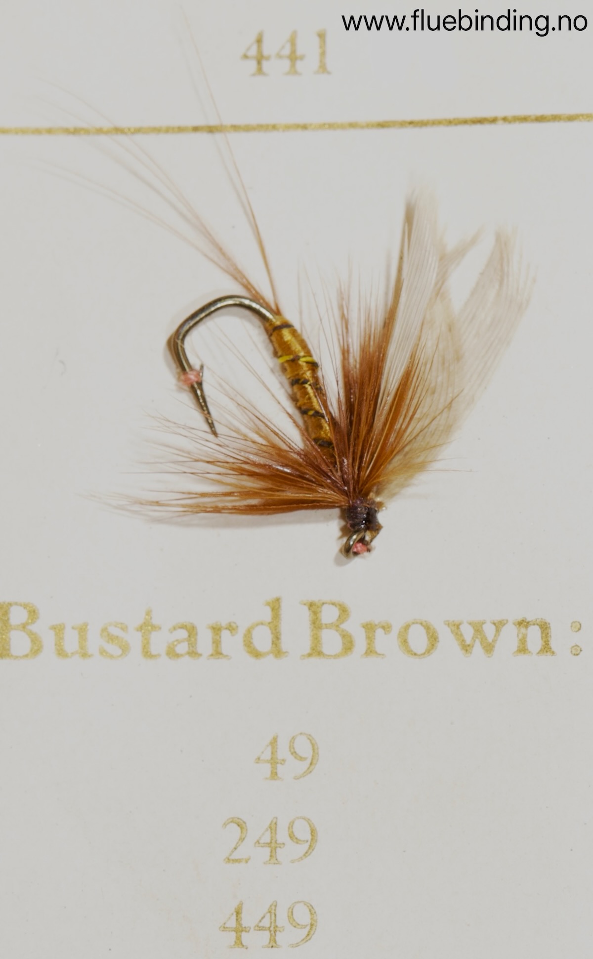 Bustard Brown