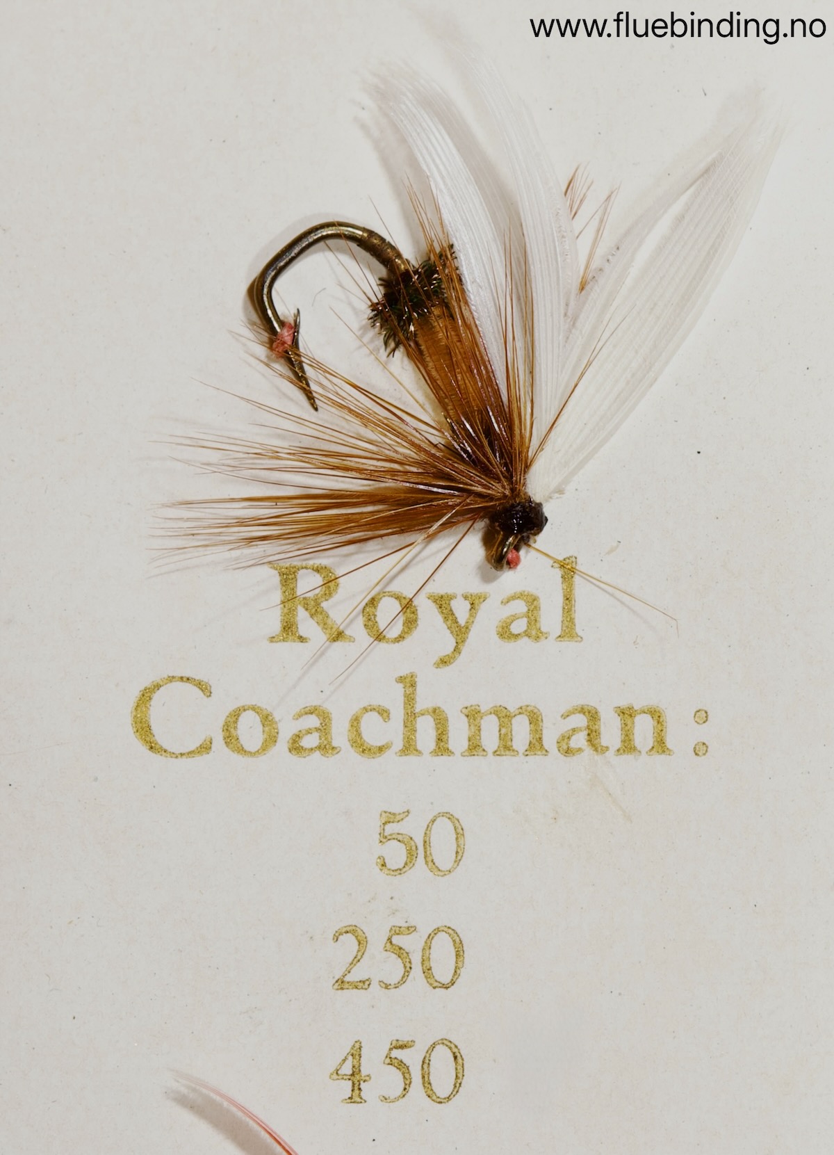 Royal Coachman