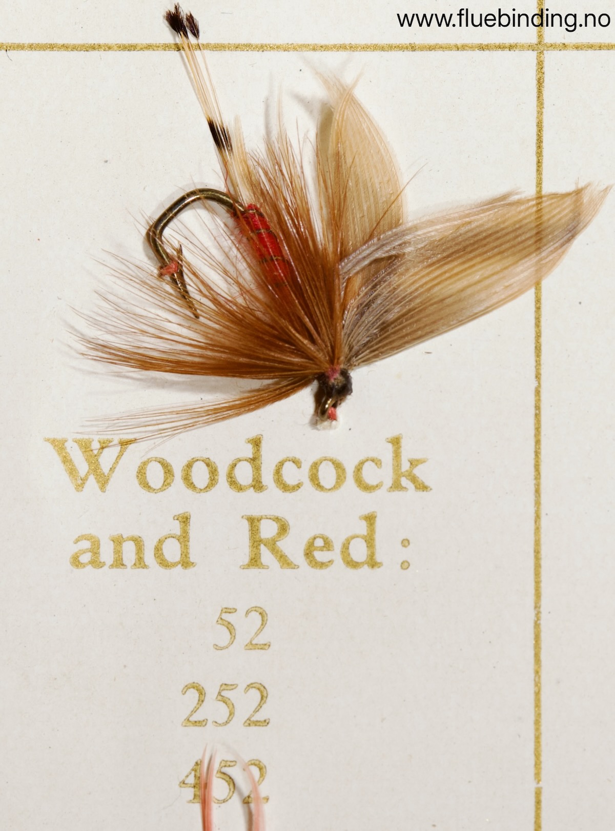 Woodcock and Red