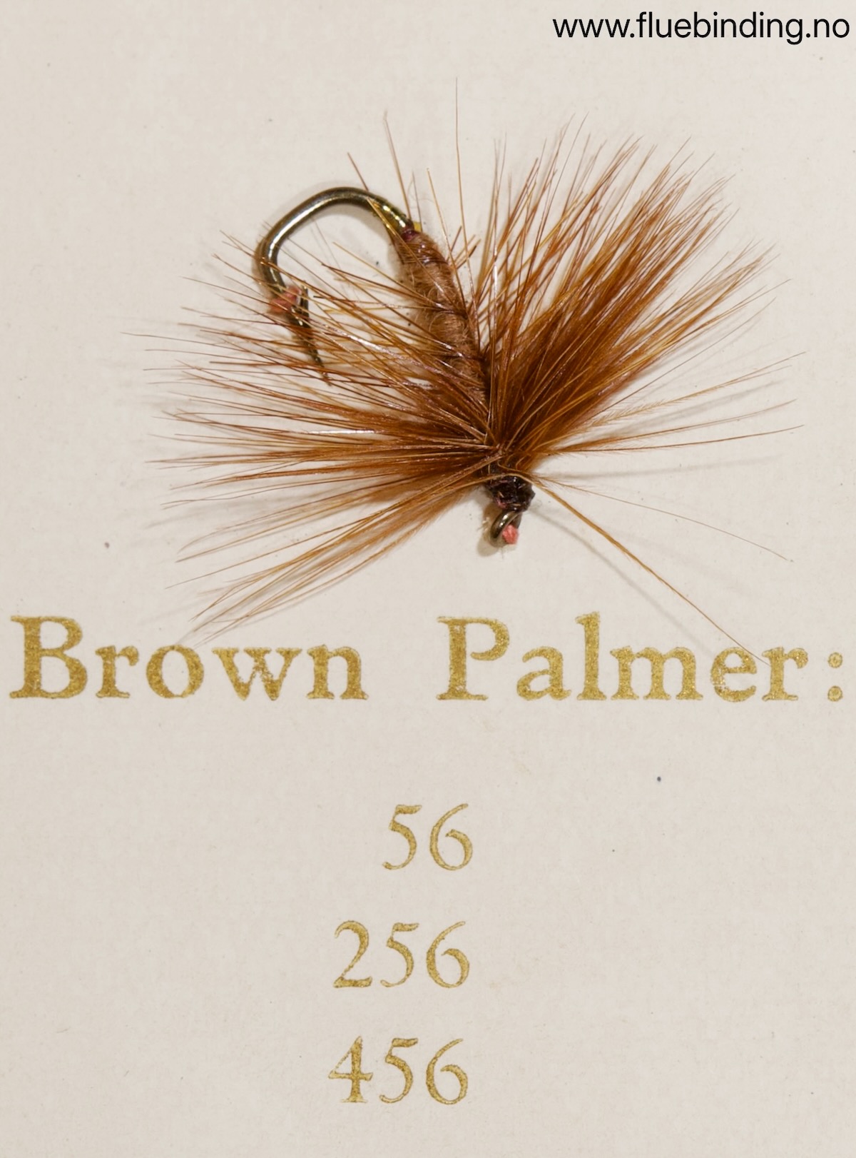 Brown Palmer