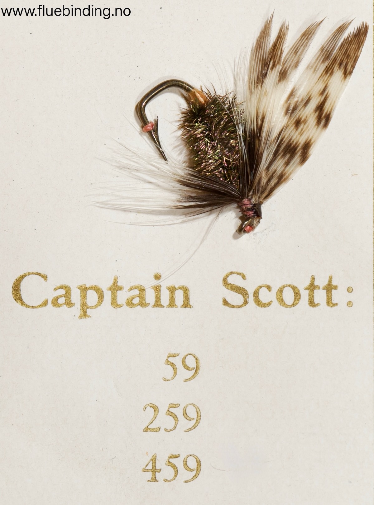 Captain Scott