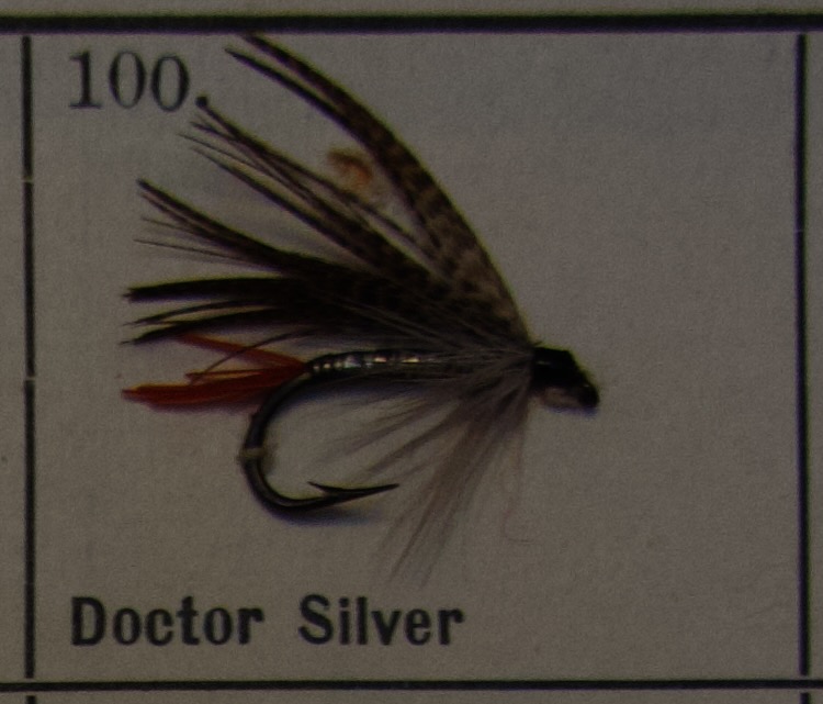 Doctor Silver