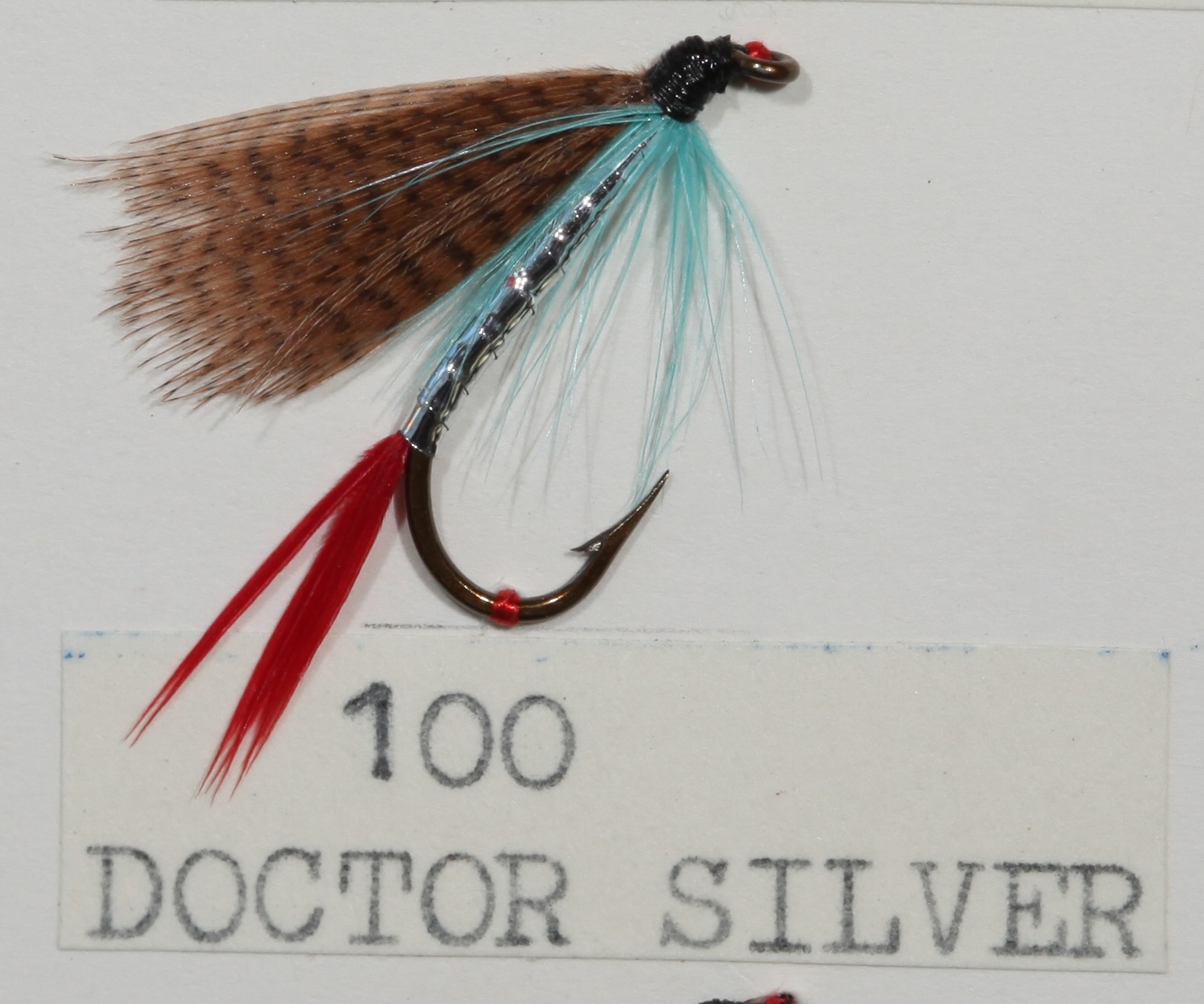 Doctor Silver