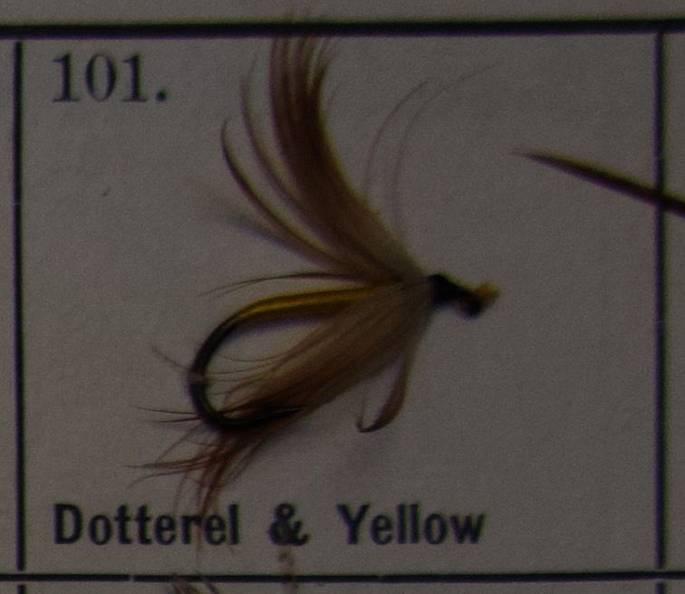 Dotterel Yellow