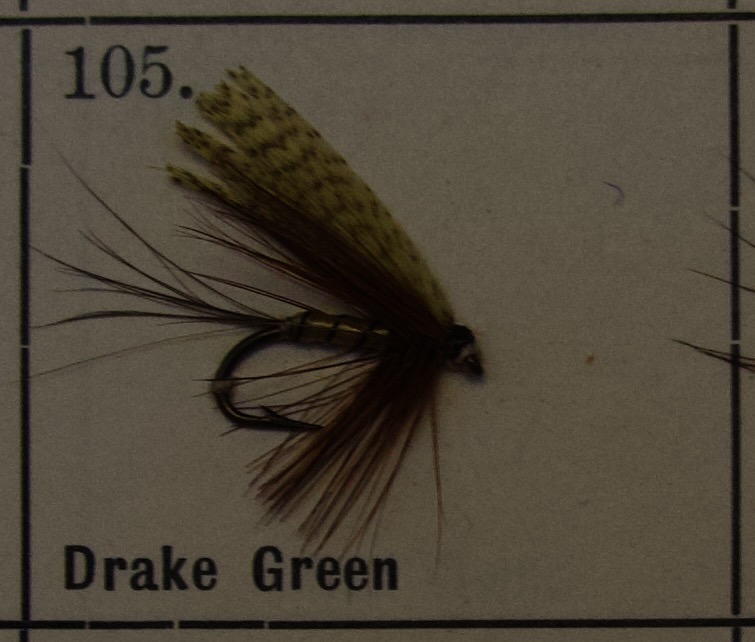 Drake Green