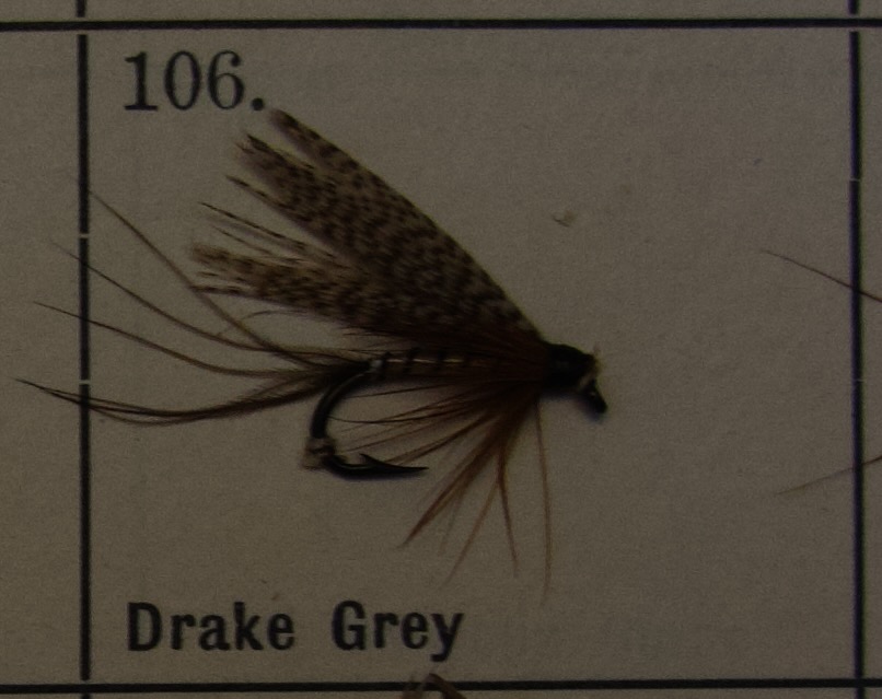 Drake Grey