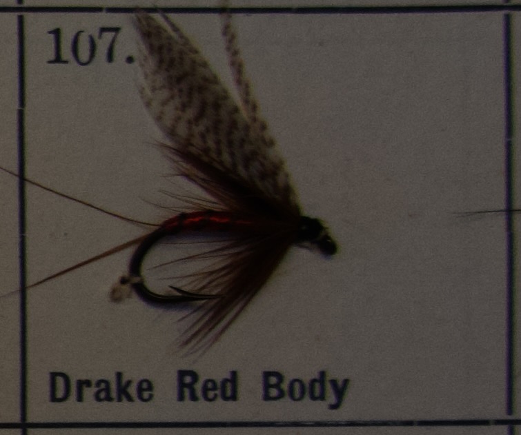 Drake Red Body