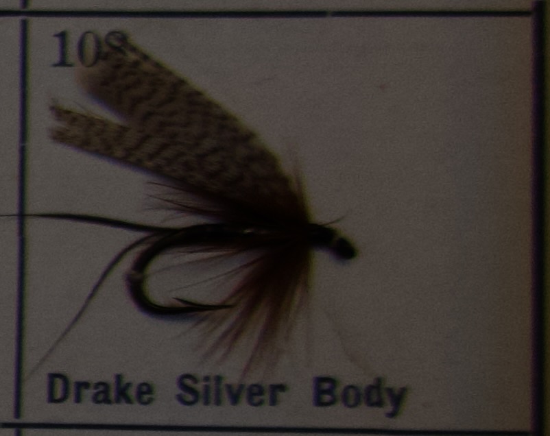 Drake Silver Body