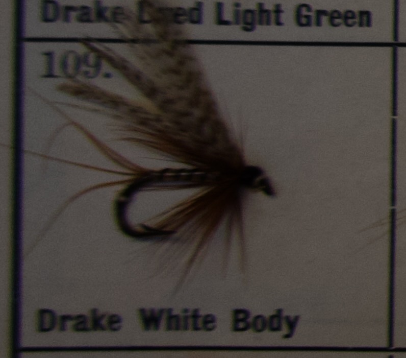 Drake White Body