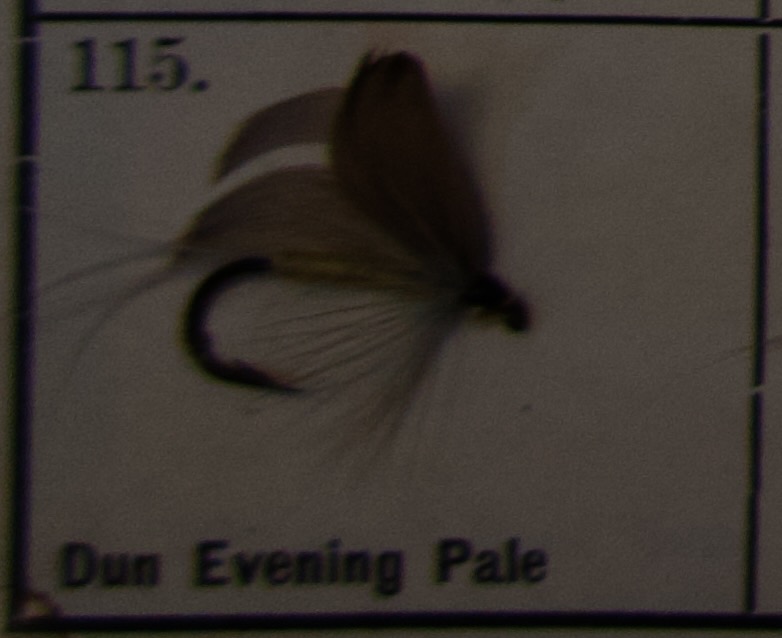 Dun Evening Pale