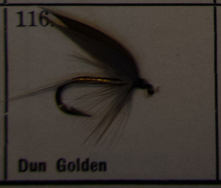 Dun Golden