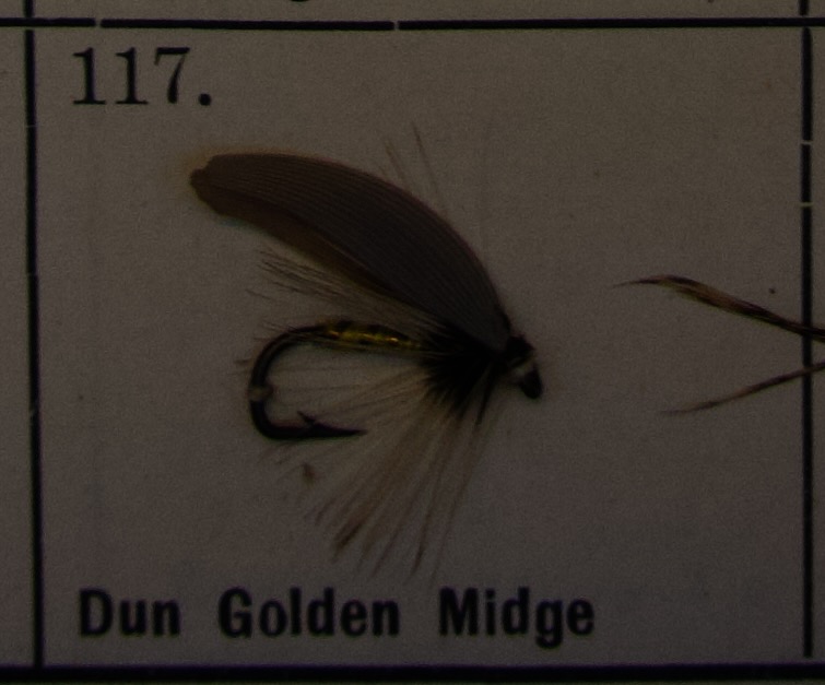 Dun Golden Midge