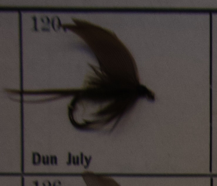 Dun July