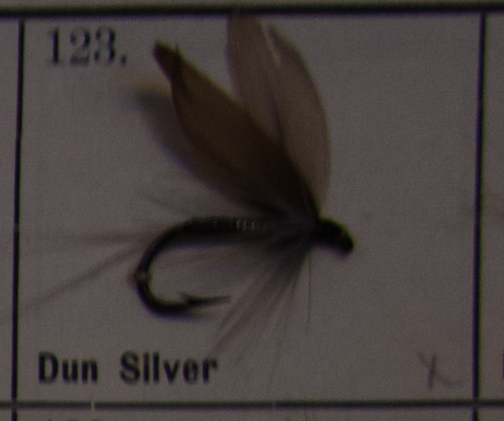 Dun Silver