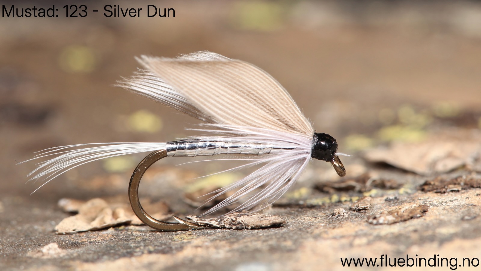 Dun Silver