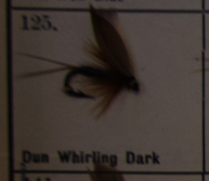 Dun Whirling Dark