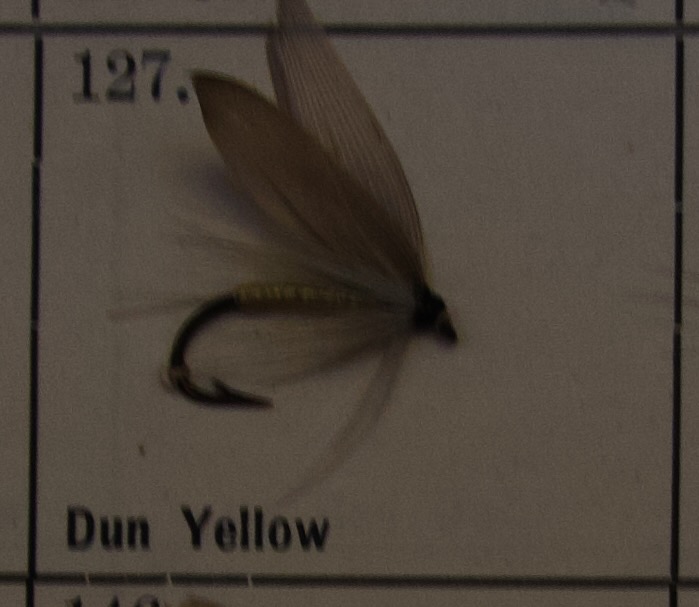 Dun Yellow