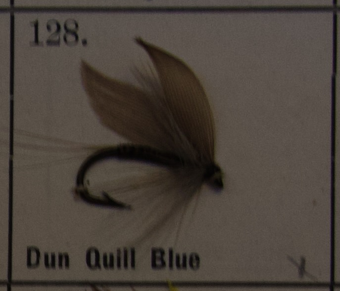 Dun Quill Blue
