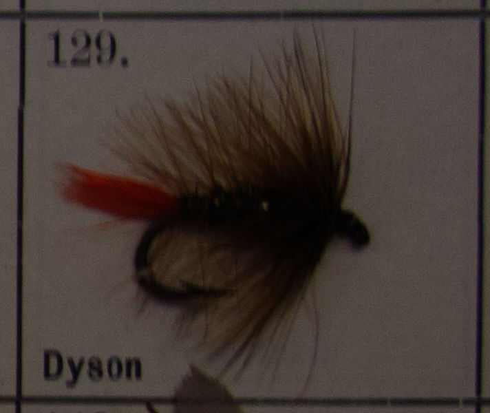 Dyson