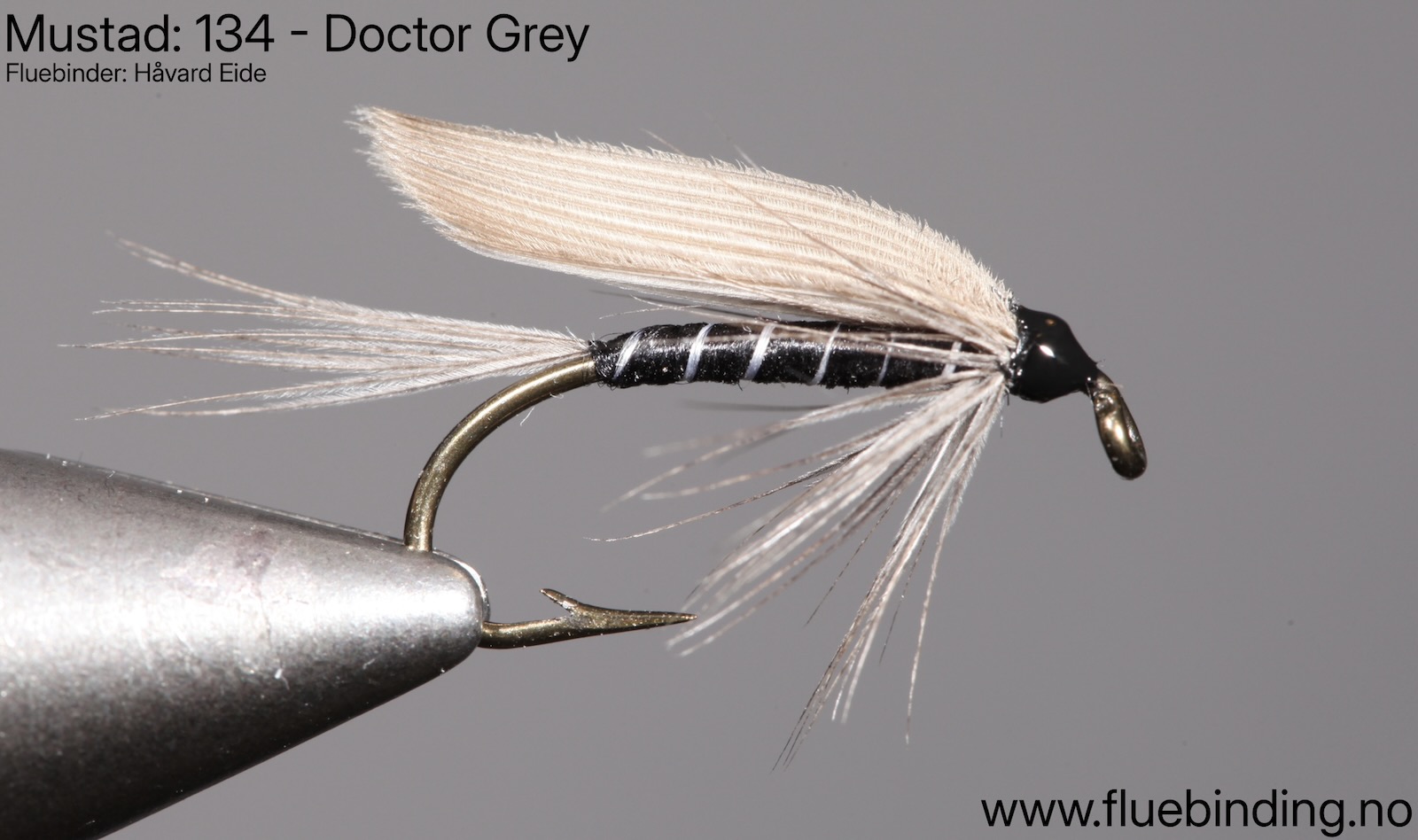 Doctor Grey