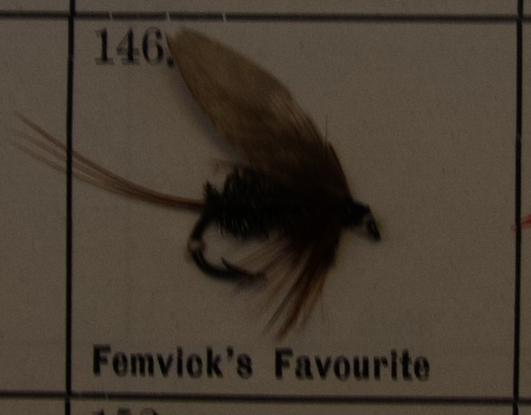 Femvicks Favorite