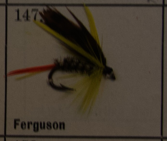 Ferguson