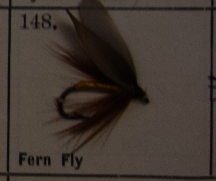 Fern Fly