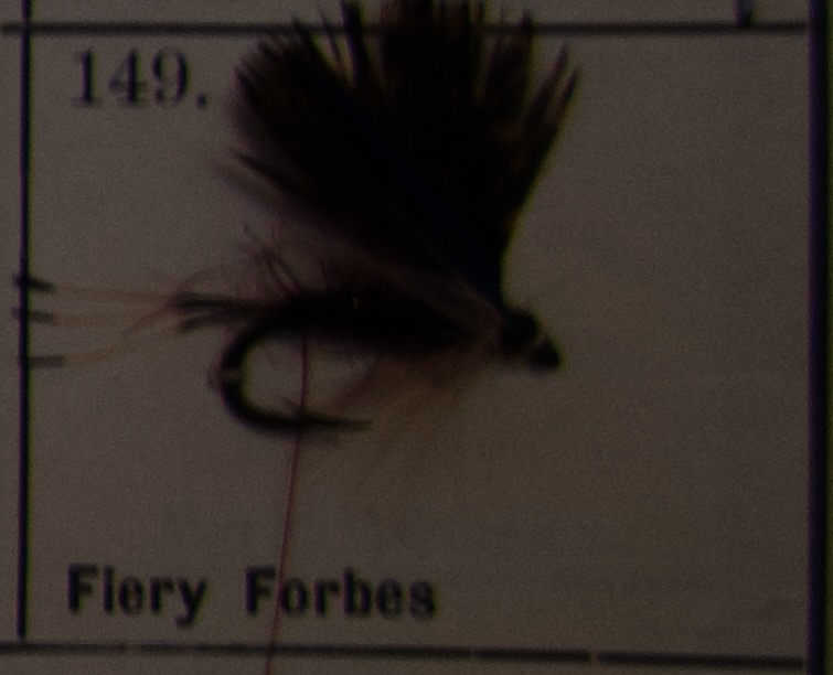 Fiery Forbes