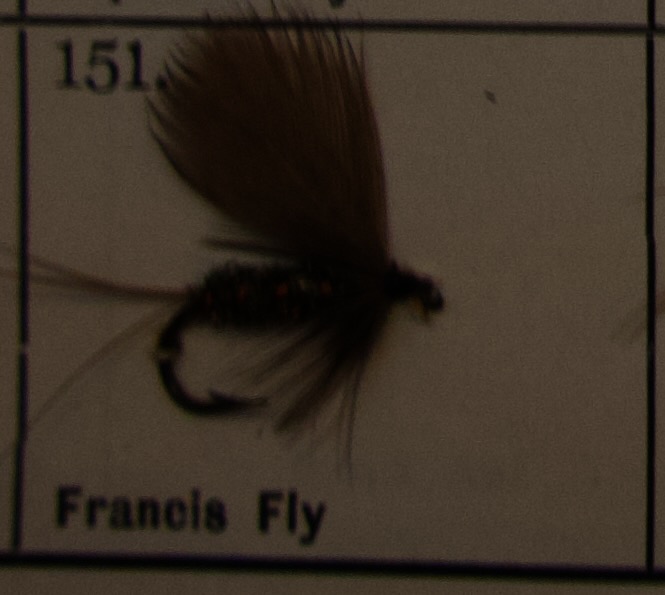 Francis Fly