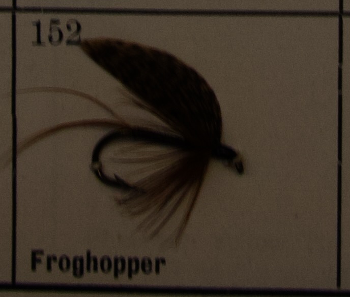 Froghopper