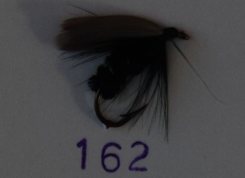 Gnat Black Female