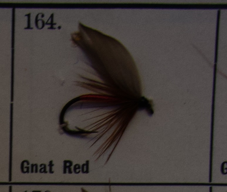 Gnat Red