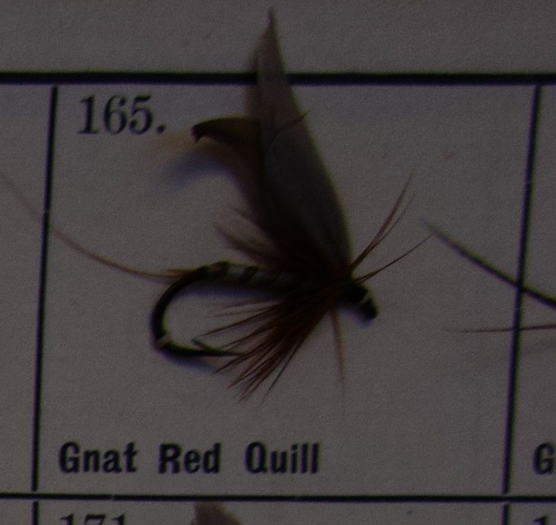 Gnat Red Quill