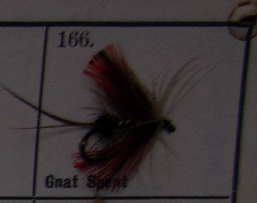 Gnat Spent